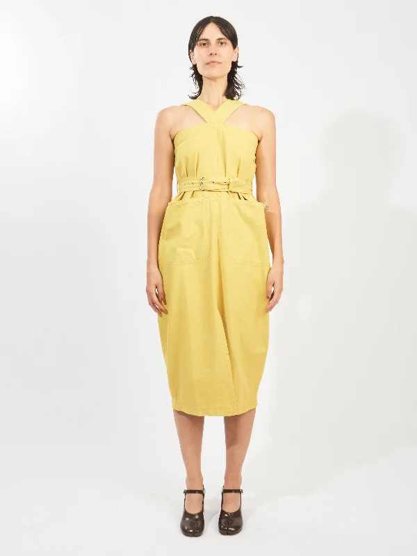 Citron Delanta Dress